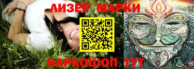 сатива Моздок