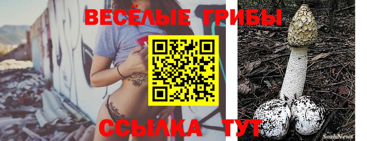 Псилоцибиновые грибы мицелий  что такое   Фурманов  Вход с VPN 
